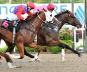 Bahen (rail)<br>Photo by Singapore Turf Club